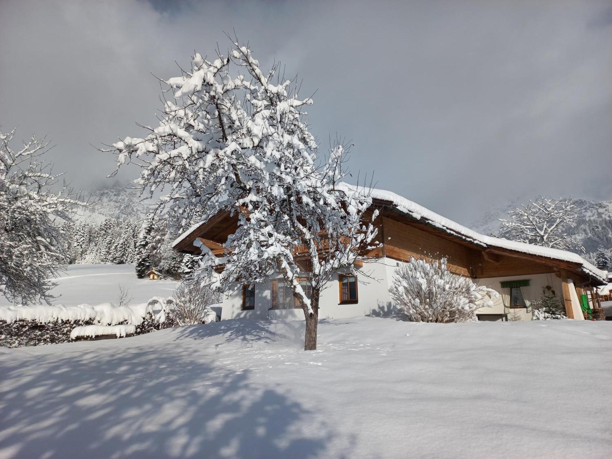 Chalet Gluecklich Sein... Ellmau Εξωτερικό φωτογραφία